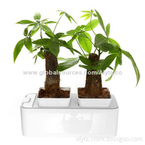 Intelligent Control Technology and Planting Techniques, Smart Mini Garden Fashion Household Goods